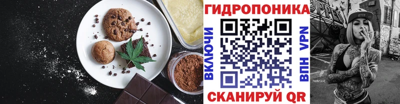 блэк спрут зеркало  наркошоп  Дудинка  Canna-Cookies конопля 