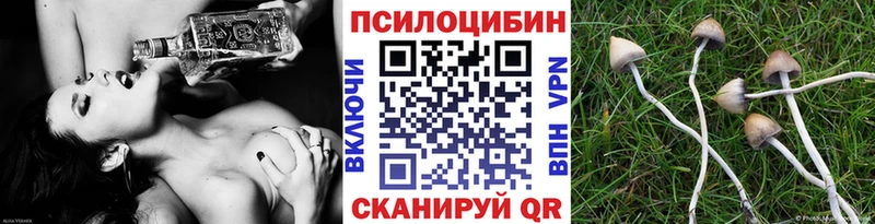 Псилоцибиновые грибы ЛСД Дудинка